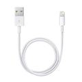 APPLE CABLE LIGHTNING TO USB 0.5M WHITE ME291ZM/A