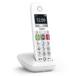 GIGASET WIRELESS PHONE E290 DUO WHITE (L36852-H2901-D202)